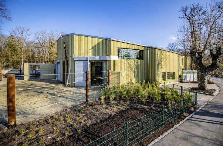 Neubau Elefantenhaus – Augsburg